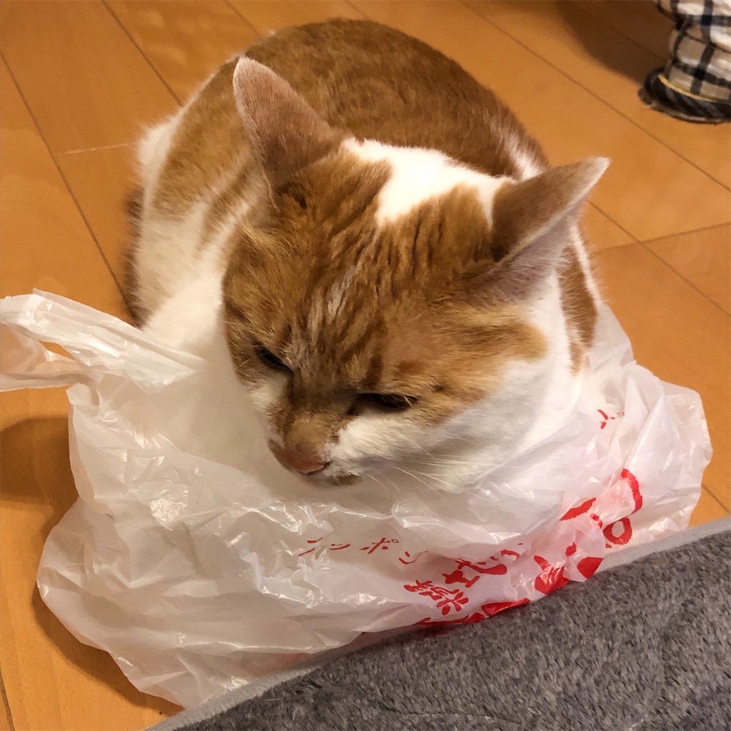 f:id:yakeimo:20210822225135j:image f:id:yakeimo:20210822225135j:image