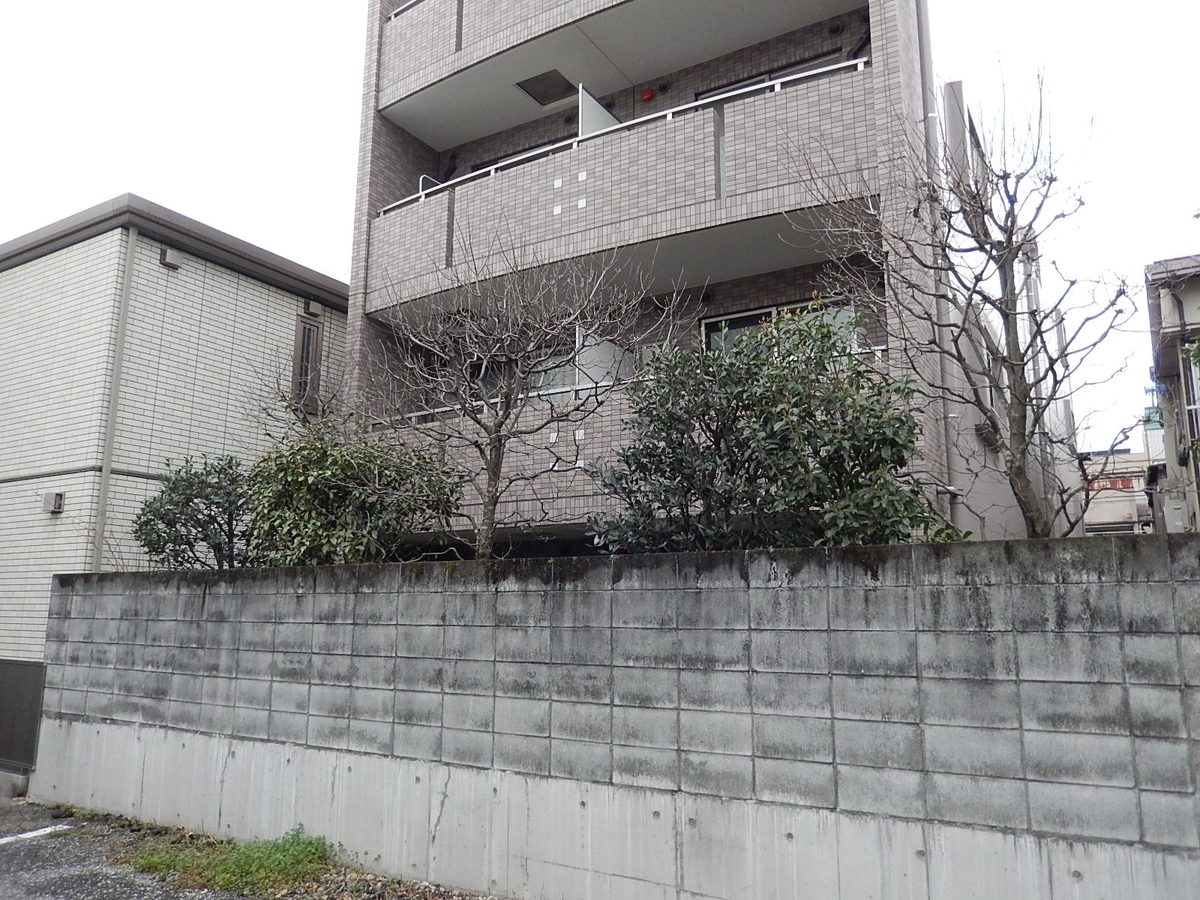 f:id:yakichimususu:20200305091235j:plain f:id:yakichimususu:20200305091235j:plain