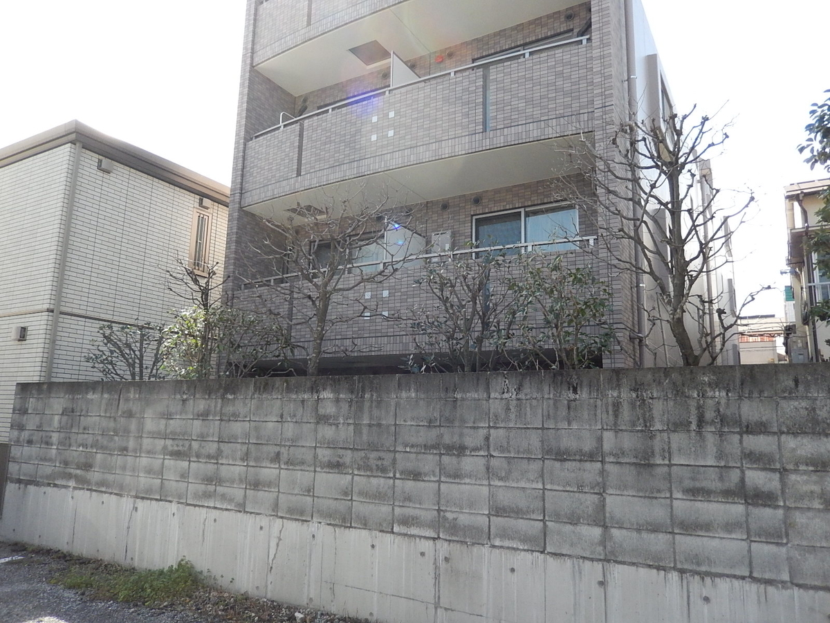 f:id:yakichimususu:20200305113227j:plain f:id:yakichimususu:20200305113227j:plain