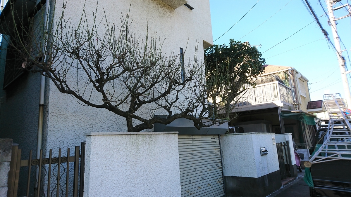 f:id:yakichimususu:20200312085944j:plain f:id:yakichimususu:20200312085944j:plain