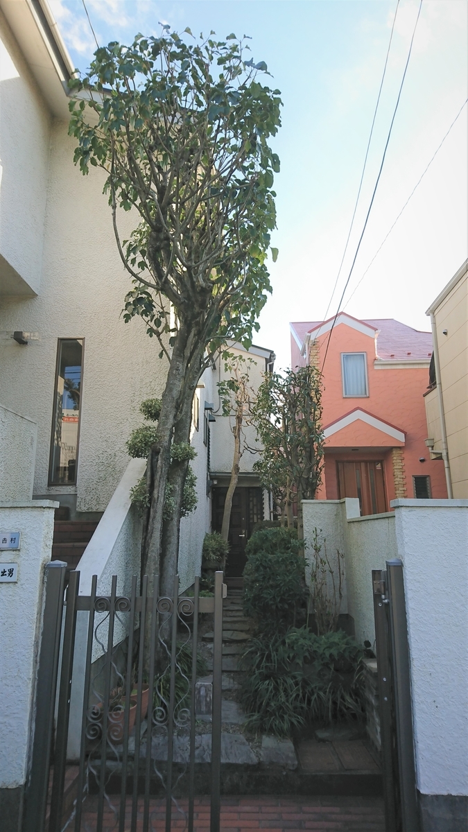 f:id:yakichimususu:20200312155832j:plain f:id:yakichimususu:20200312155832j:plain