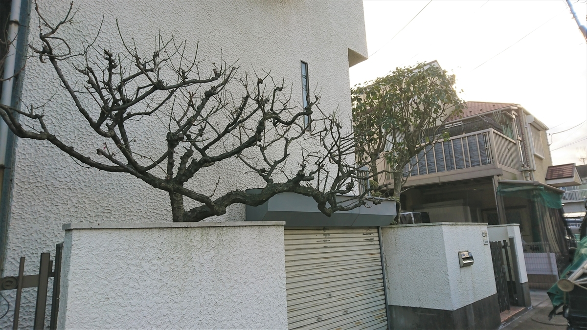 f:id:yakichimususu:20200312165949j:plain f:id:yakichimususu:20200312165949j:plain