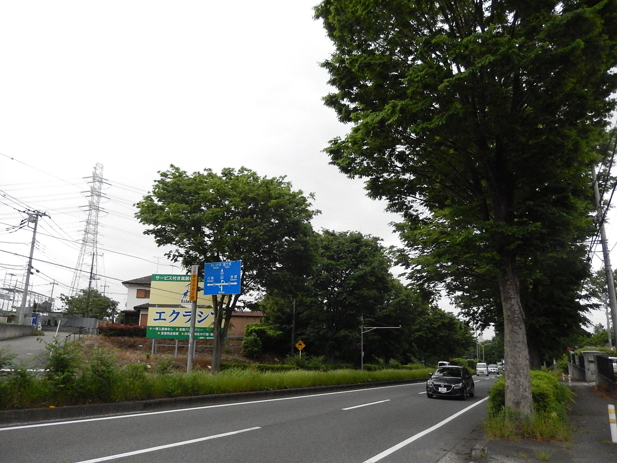 甘えてばかりでごめんね！ ジジの戯れ事