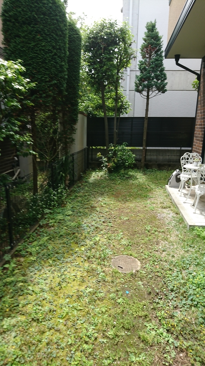 f:id:yakichimususu:20200523174439j:plain f:id:yakichimususu:20200523174439j:plain
