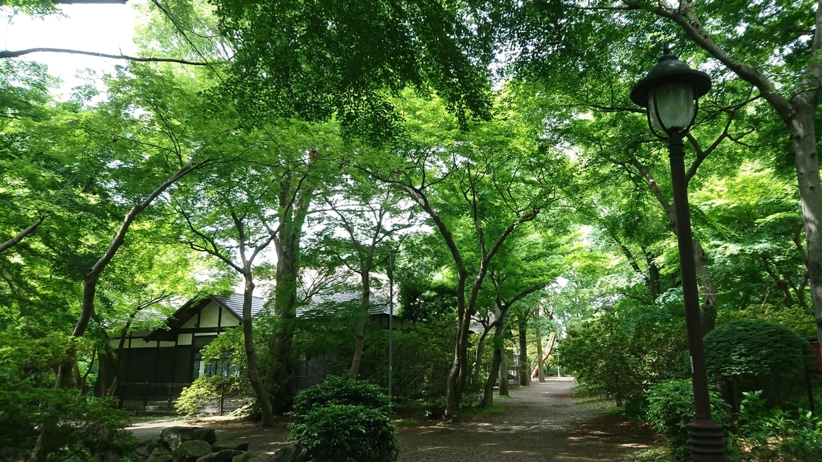 f:id:yakichimususu:20200527210941j:plain f:id:yakichimususu:20200527210941j:plain