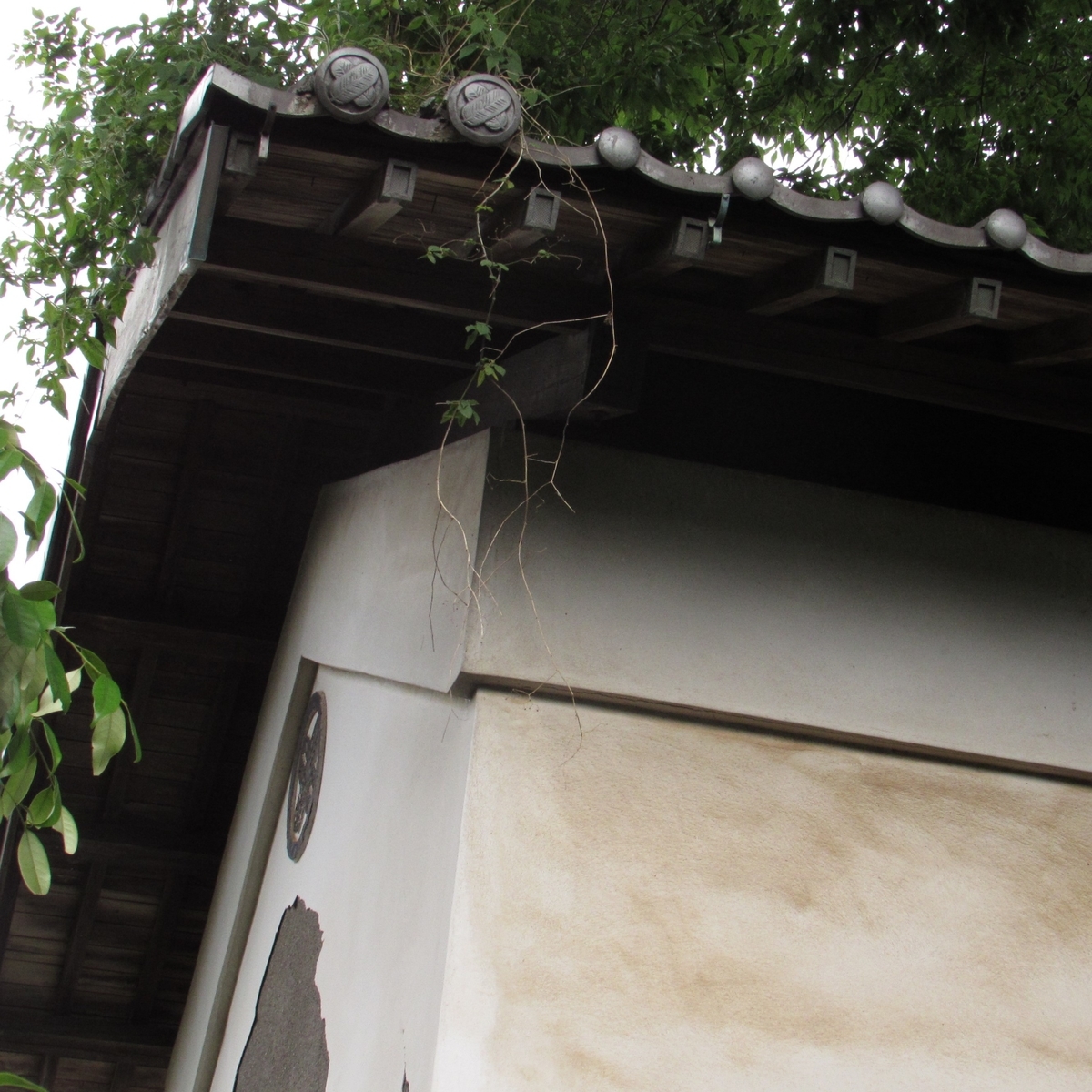 f:id:yakichimususu:20200531171823j:plain f:id:yakichimususu:20200531171823j:plain