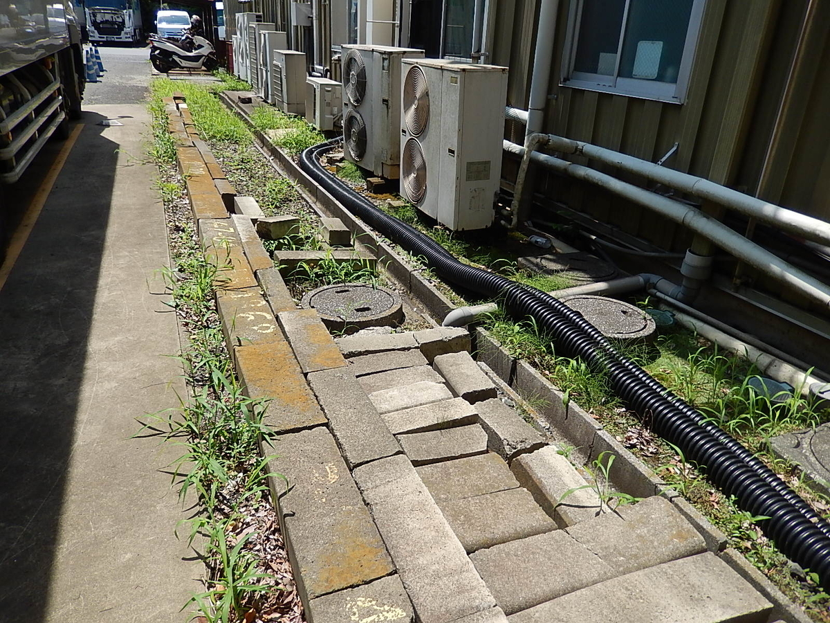 f:id:yakichimususu:20200620155831j:plain f:id:yakichimususu:20200620155831j:plain