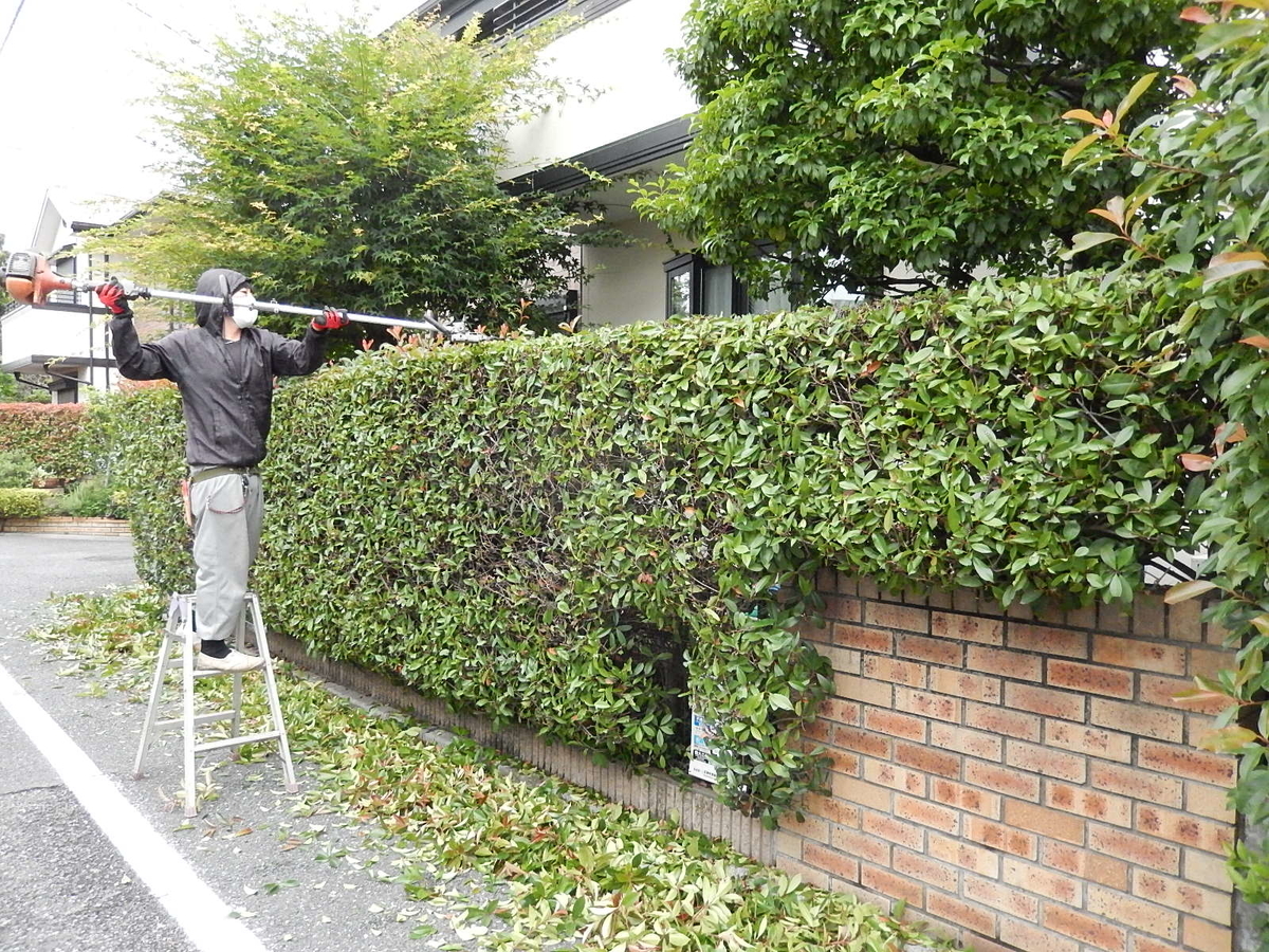 f:id:yakichimususu:20200621151129j:plain f:id:yakichimususu:20200621151129j:plain