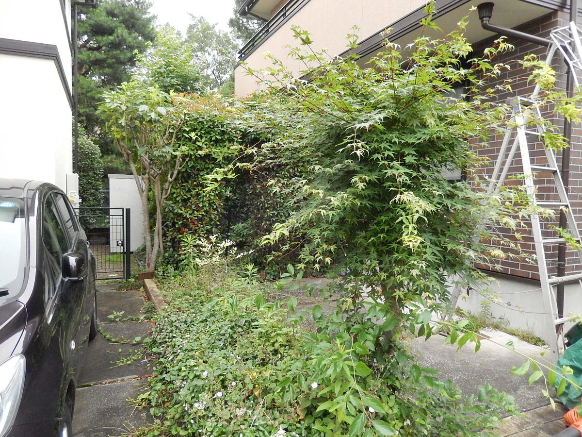 f:id:yakichimususu:20200626194048j:plain f:id:yakichimususu:20200626194048j:plain