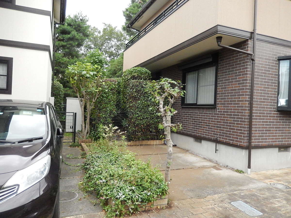 f:id:yakichimususu:20200626194101j:plain f:id:yakichimususu:20200626194101j:plain
