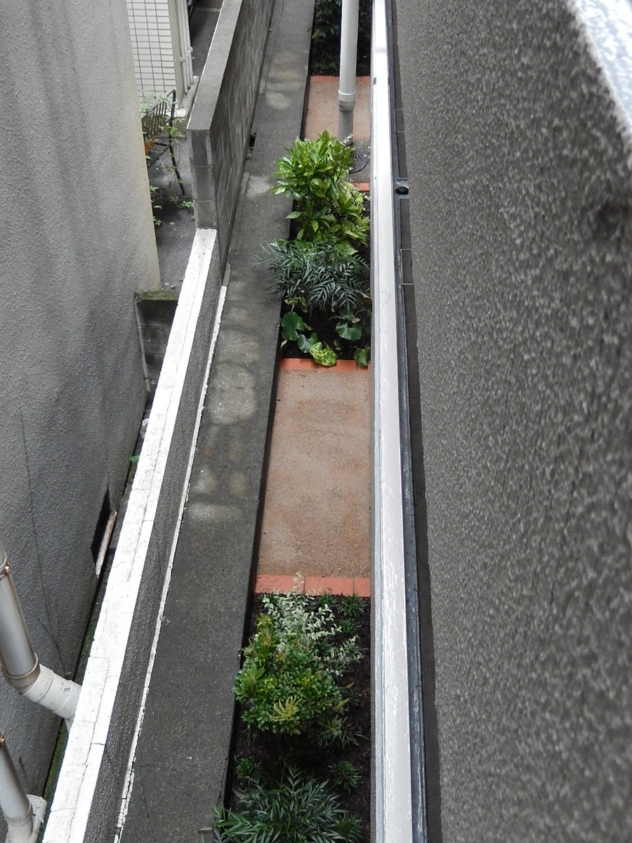 f:id:yakichimususu:20200915210545j:plain f:id:yakichimususu:20200915210545j:plain