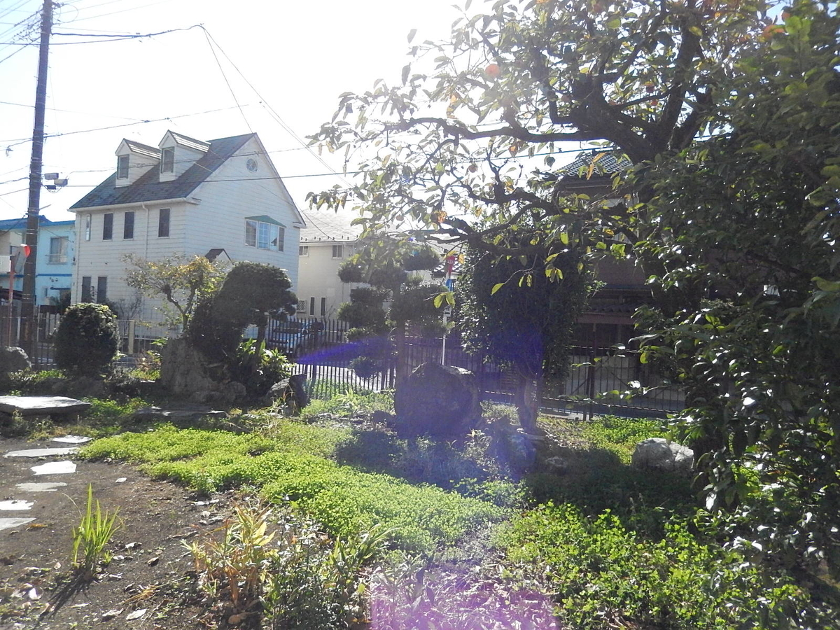 f:id:yakichimususu:20201104183337j:plain