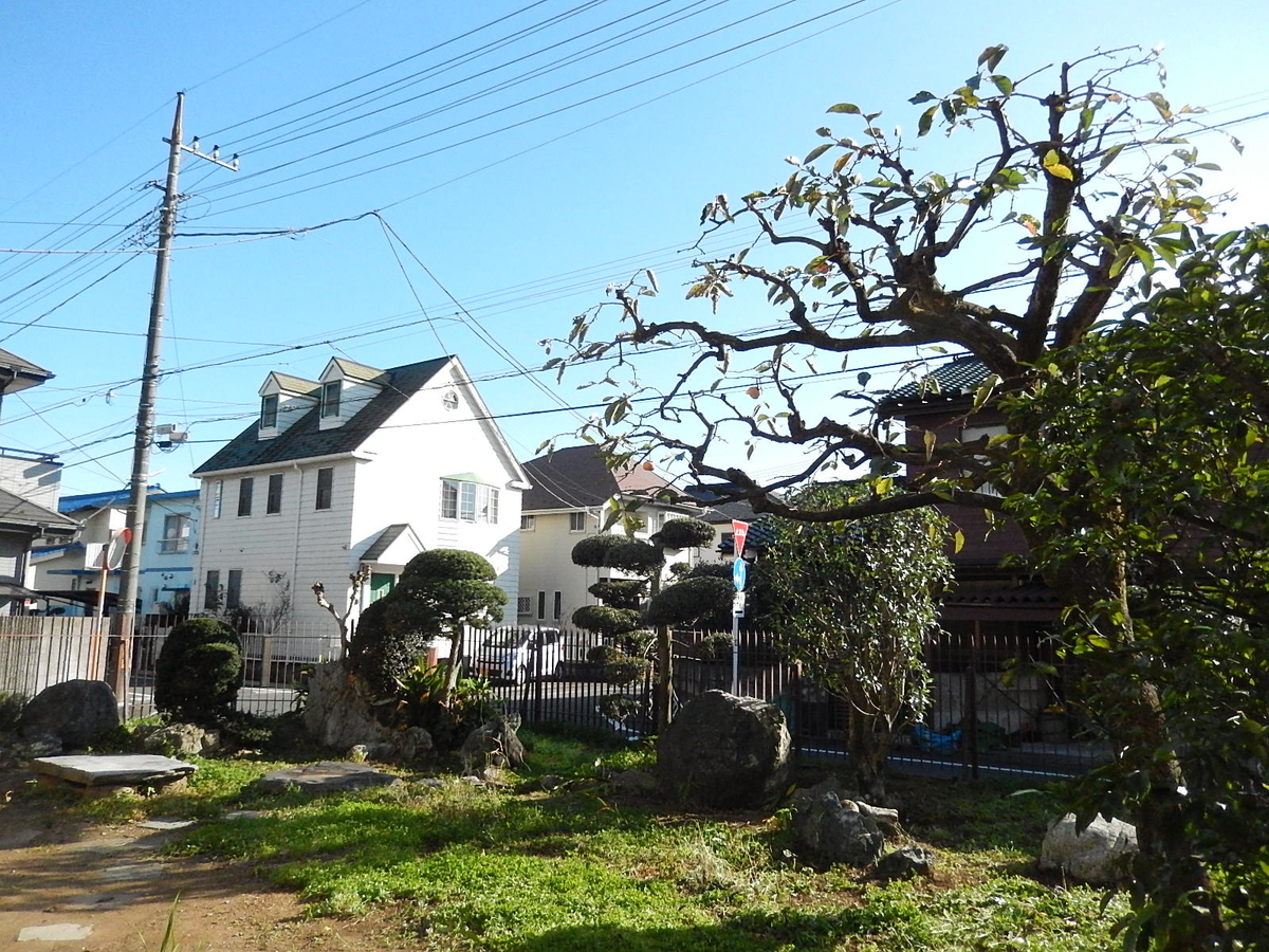 f:id:yakichimususu:20201104183624j:plain