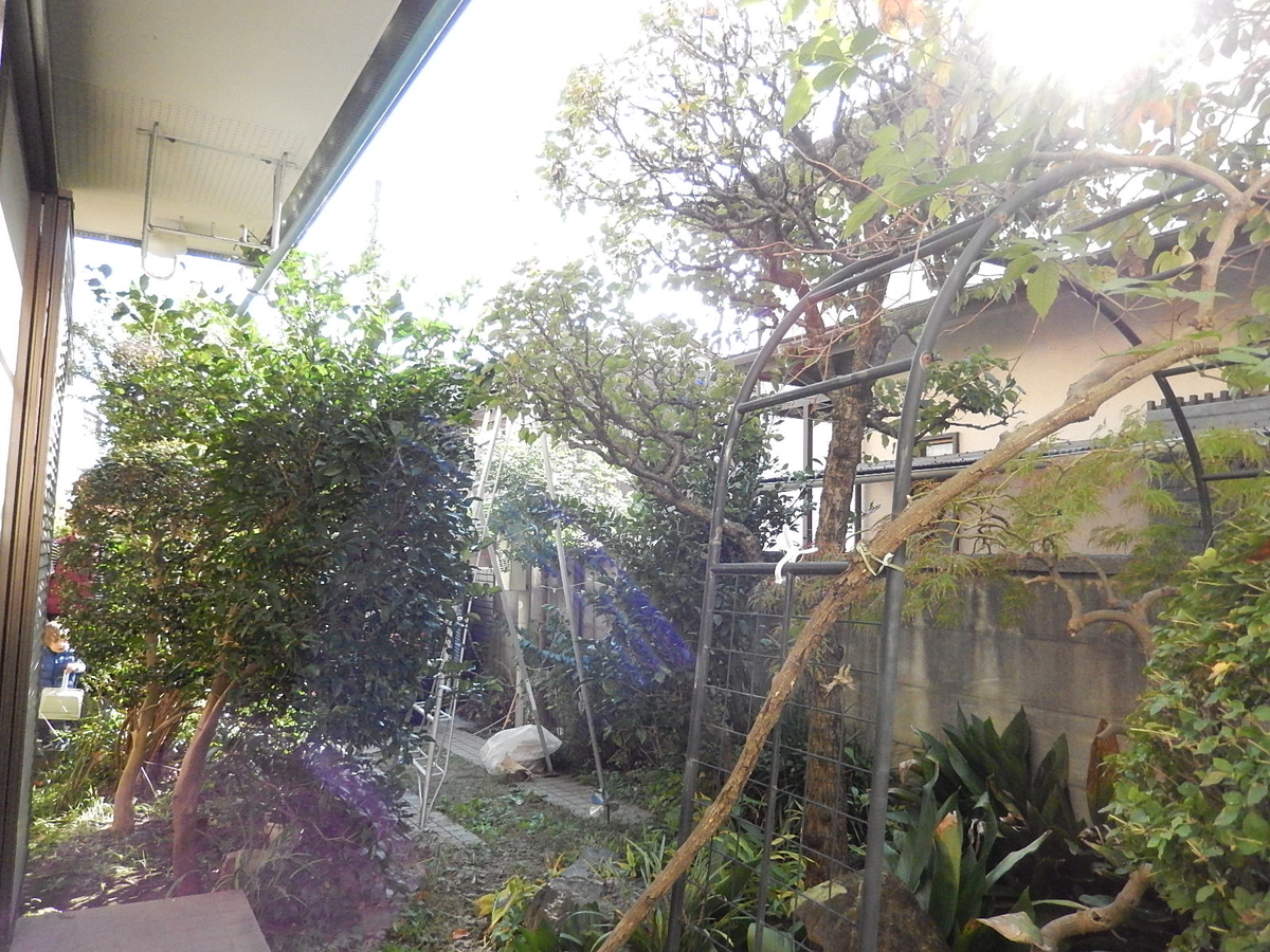 f:id:yakichimususu:20201112190834j:plain f:id:yakichimususu:20201112190834j:plain