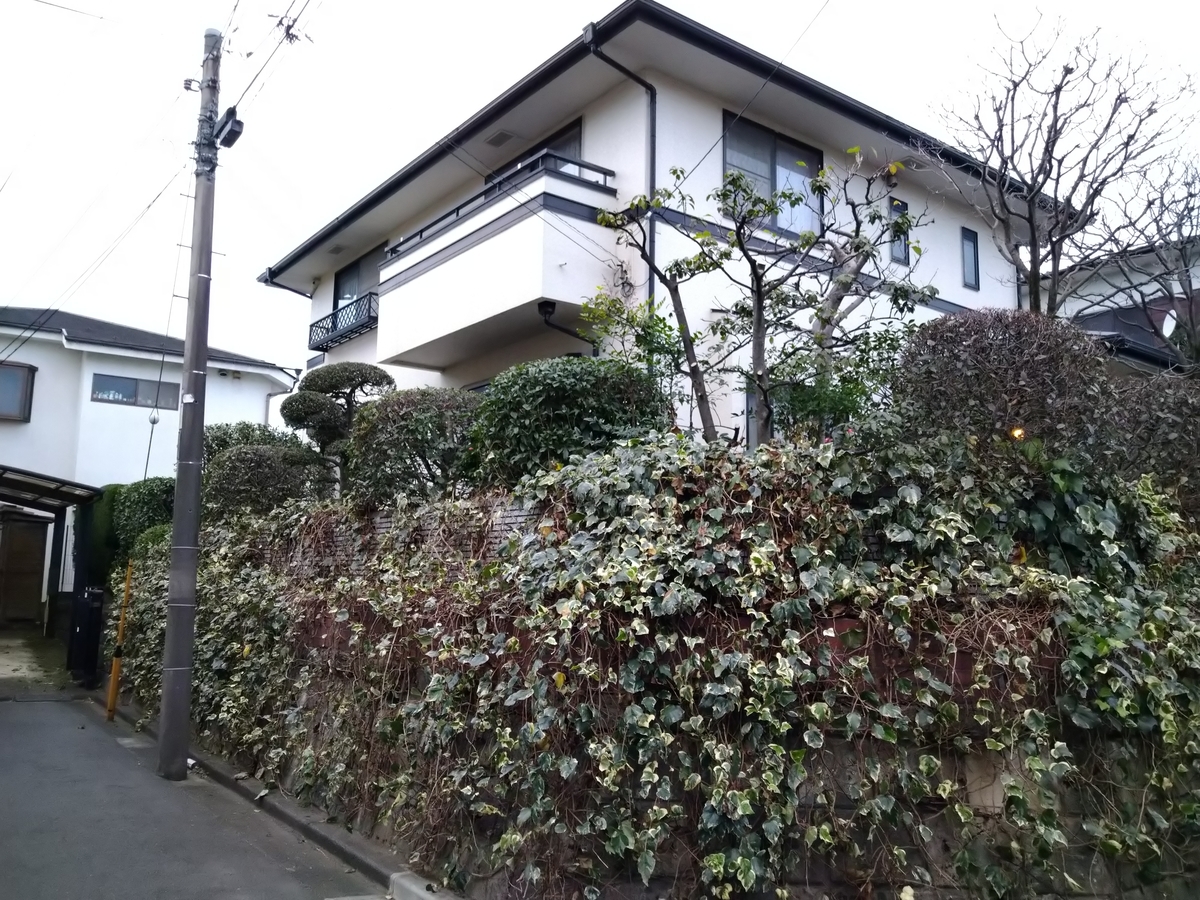 f:id:yakichimususu:20201123200003j:plain