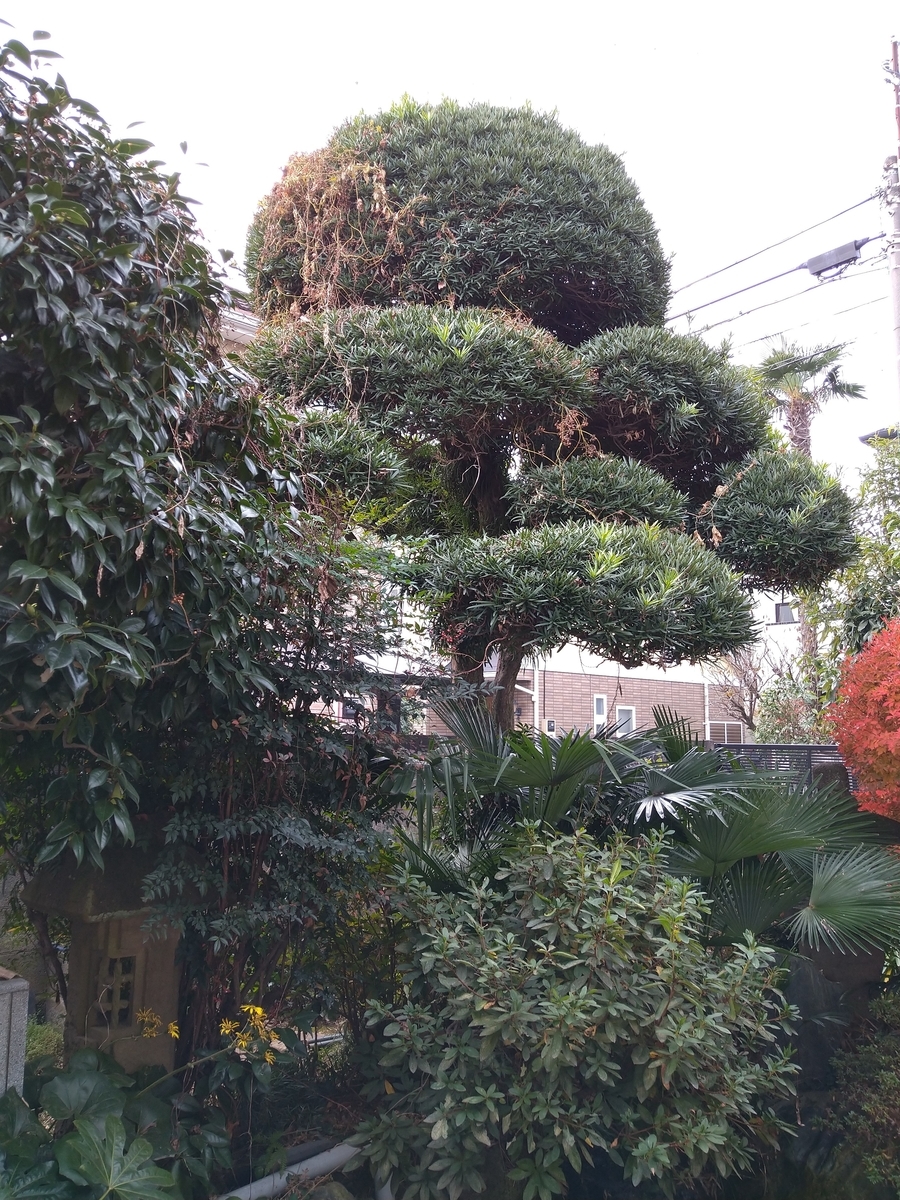 f:id:yakichimususu:20201210202626j:plain