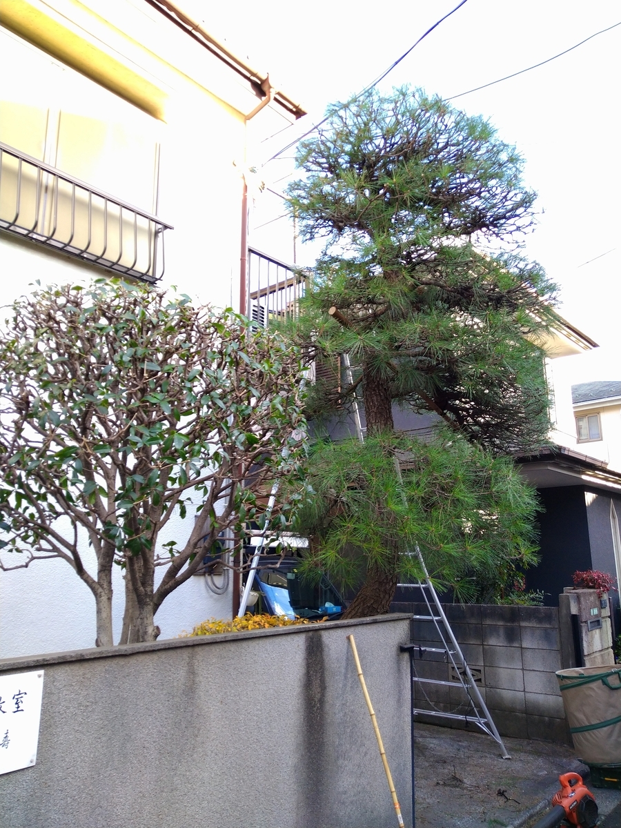 f:id:yakichimususu:20201215170921j:plain
