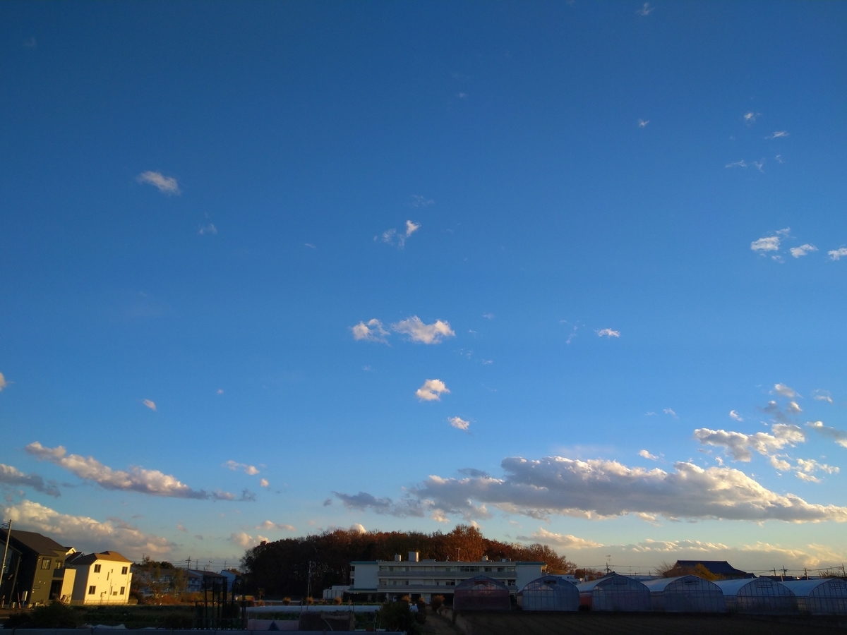 f:id:yakichimususu:20201215172637j:plain