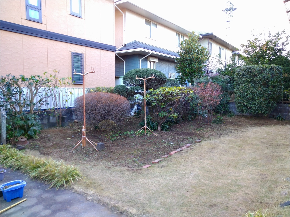 f:id:yakichimususu:20201216200740j:plain