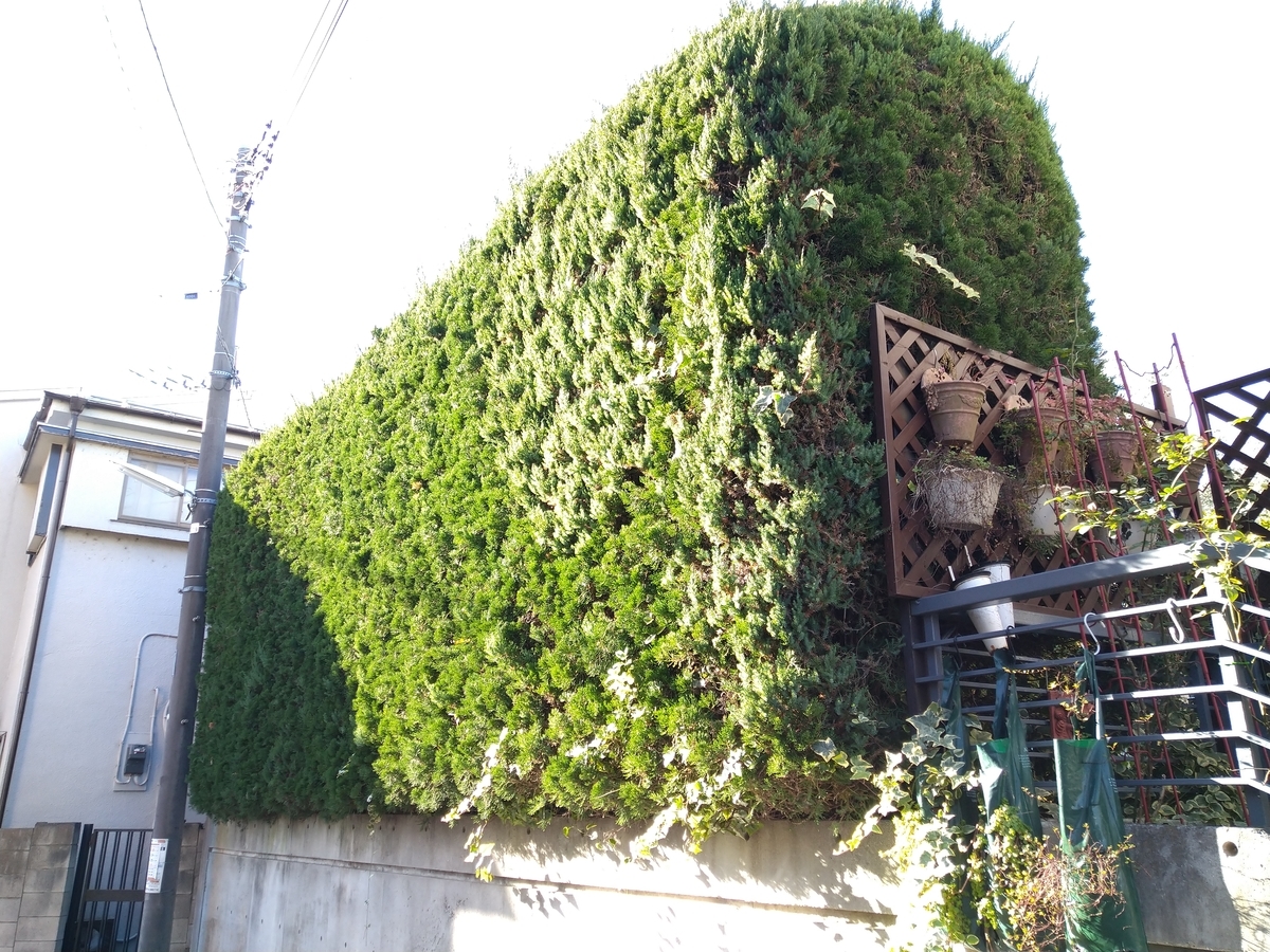 f:id:yakichimususu:20201218194209j:plain