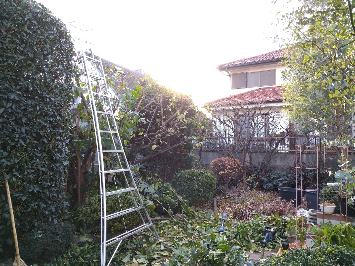 f:id:yakichimususu:20201218194905j:plain