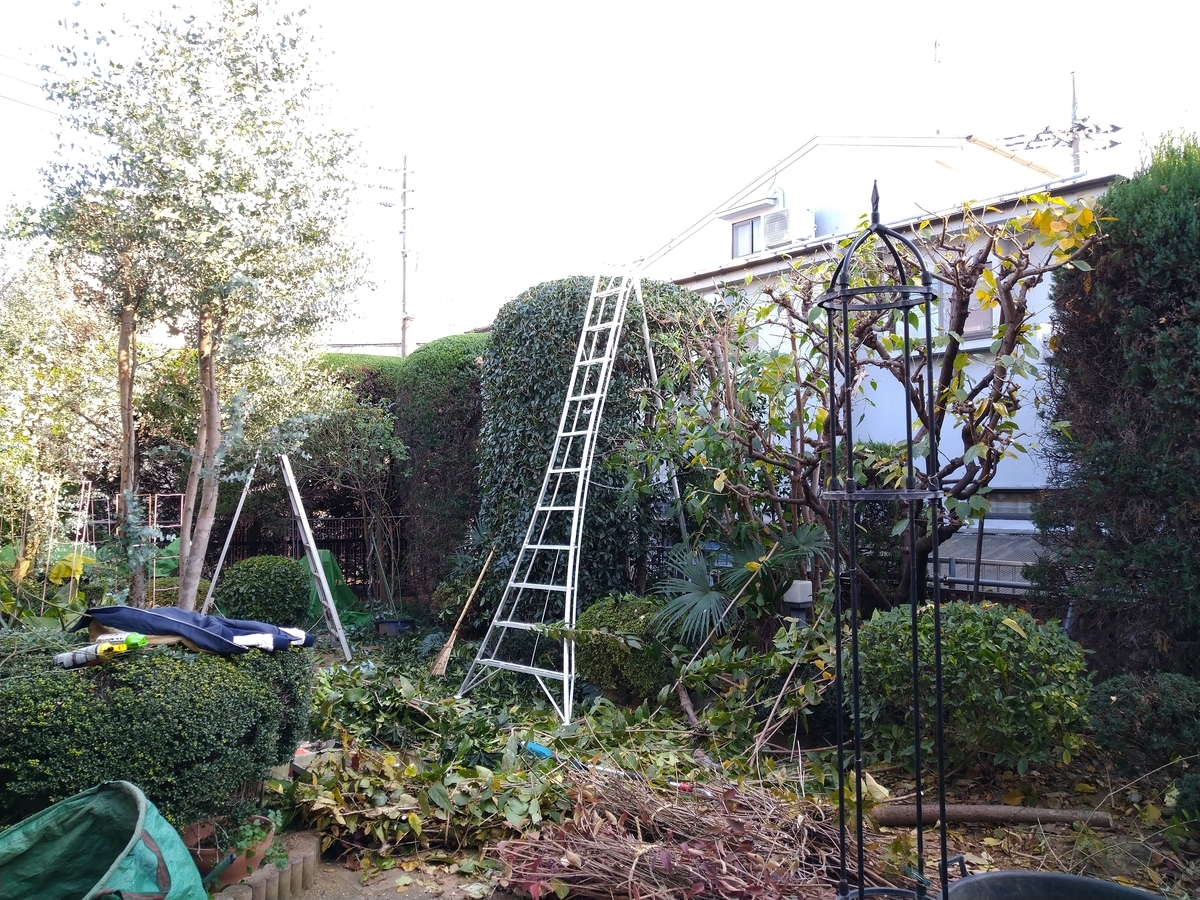 f:id:yakichimususu:20201218195013j:plain