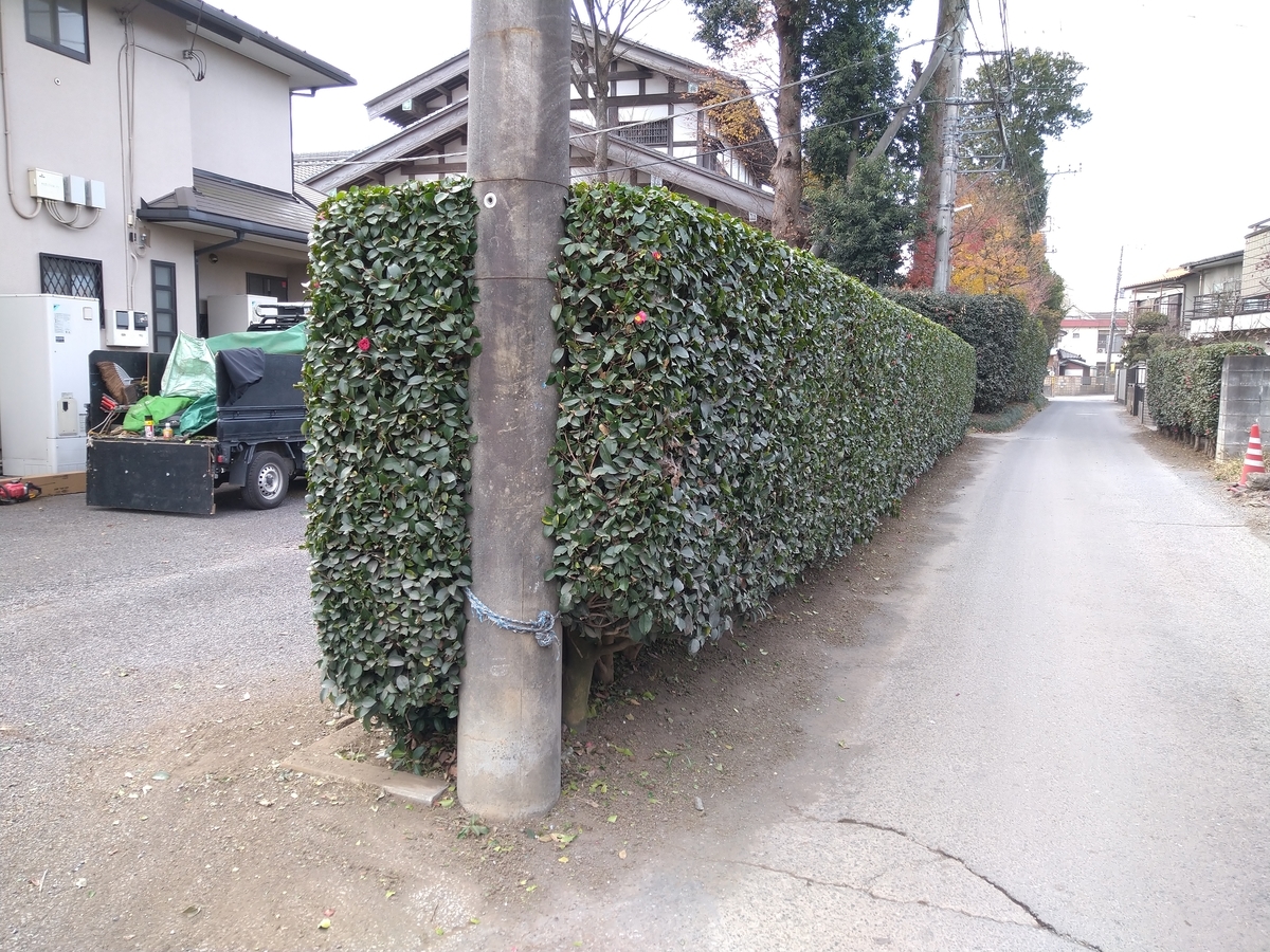 f:id:yakichimususu:20201224172455j:plain