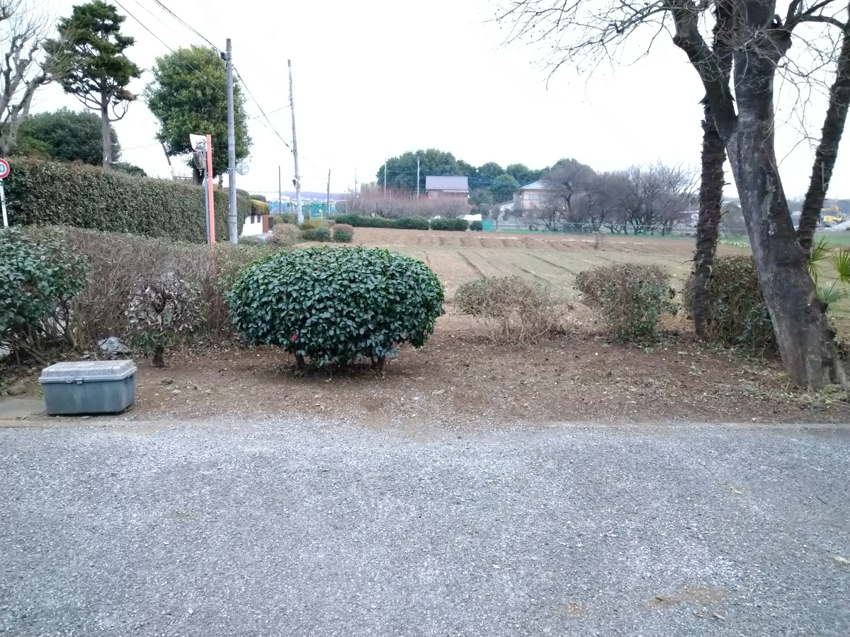 f:id:yakichimususu:20201224173015j:plain