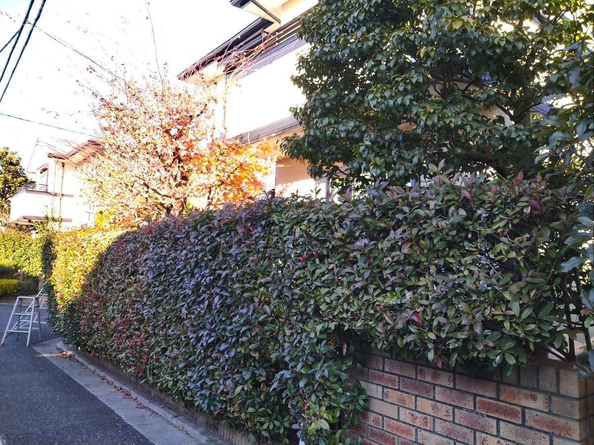 f:id:yakichimususu:20201225172832j:plain