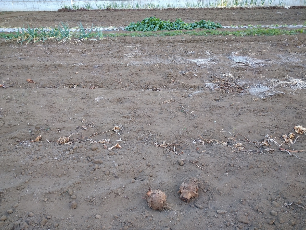 f:id:yakichimususu:20201225173716j:plain