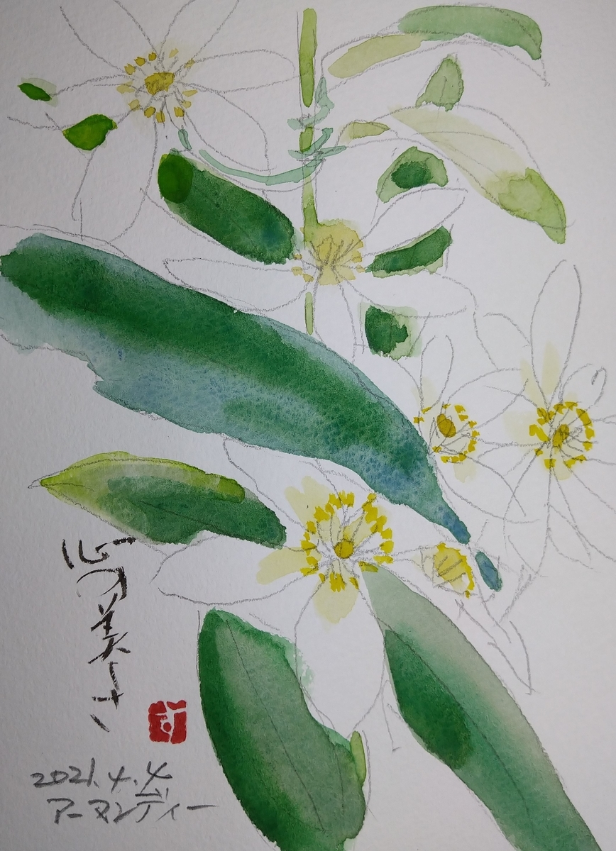 甘味大好き 植木屋なんですけど 何か 甘味大好き 植木屋なんですけど 何か
