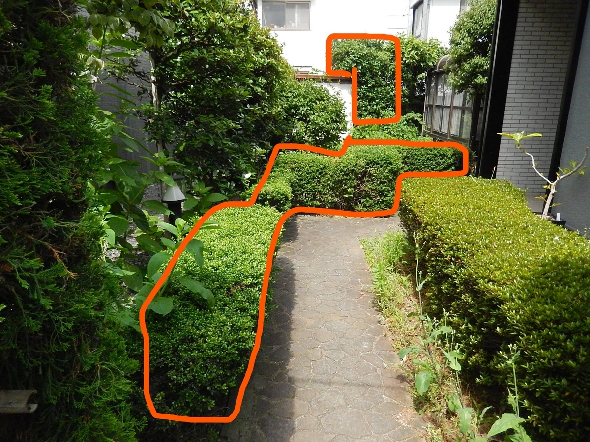 f:id:yakichimususu:20210612211208j:plain