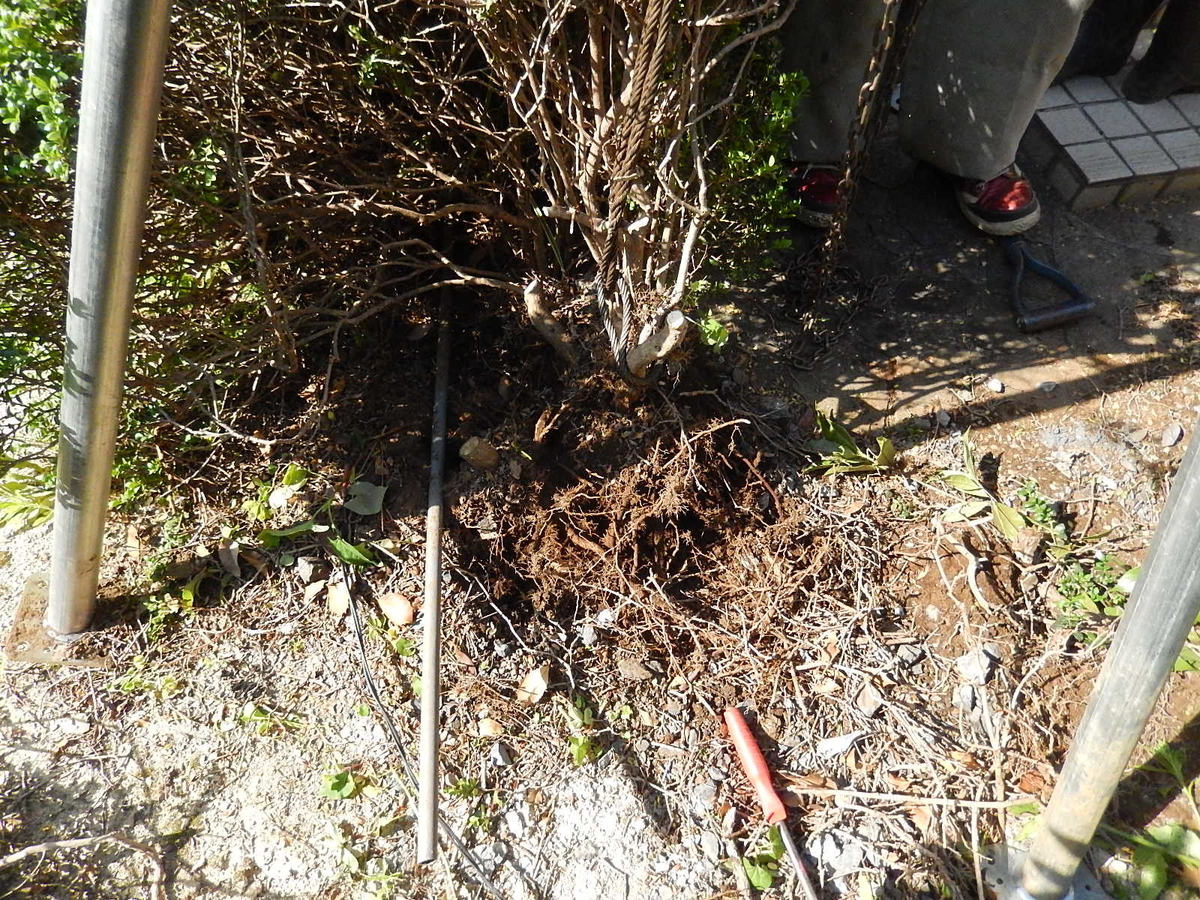 f:id:yakichimususu:20210612211729j:plain