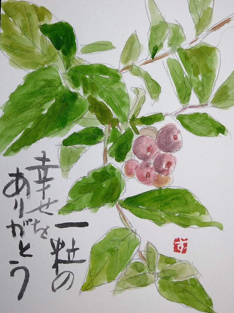 f:id:yakichimususu:20210630180230j:plain