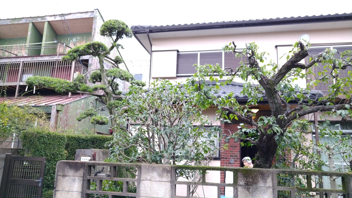 f:id:yakichimususu:20210630181627j:plain