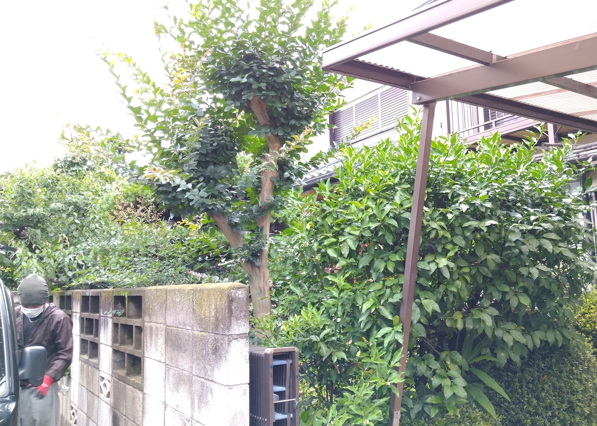 f:id:yakichimususu:20210630182016j:plain