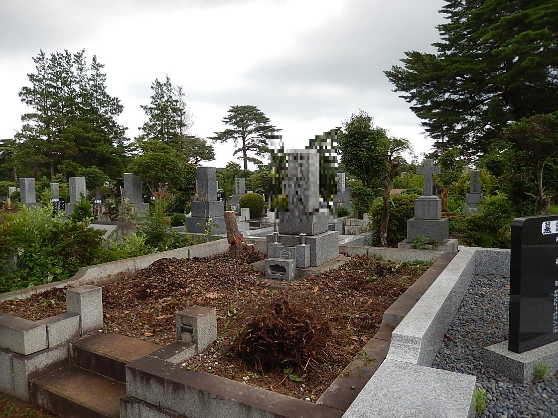 f:id:yakichimususu:20210713205502j:plain