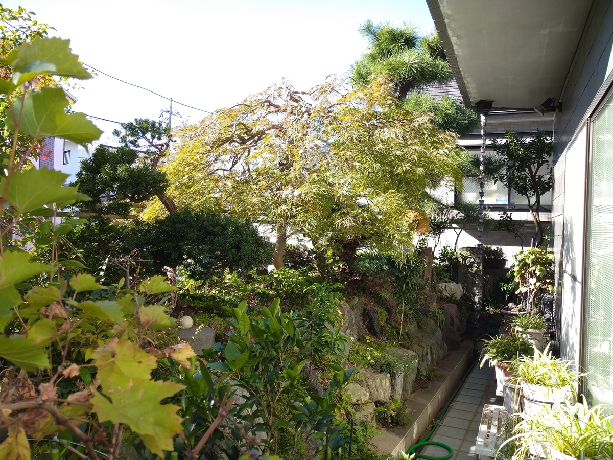 f:id:yakichimususu:20211029202737j:plain