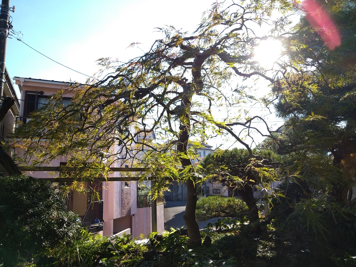 f:id:yakichimususu:20211029202856j:plain