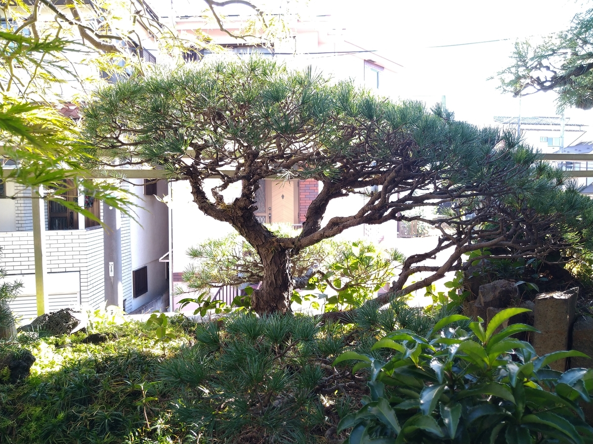 f:id:yakichimususu:20211029202944j:plain