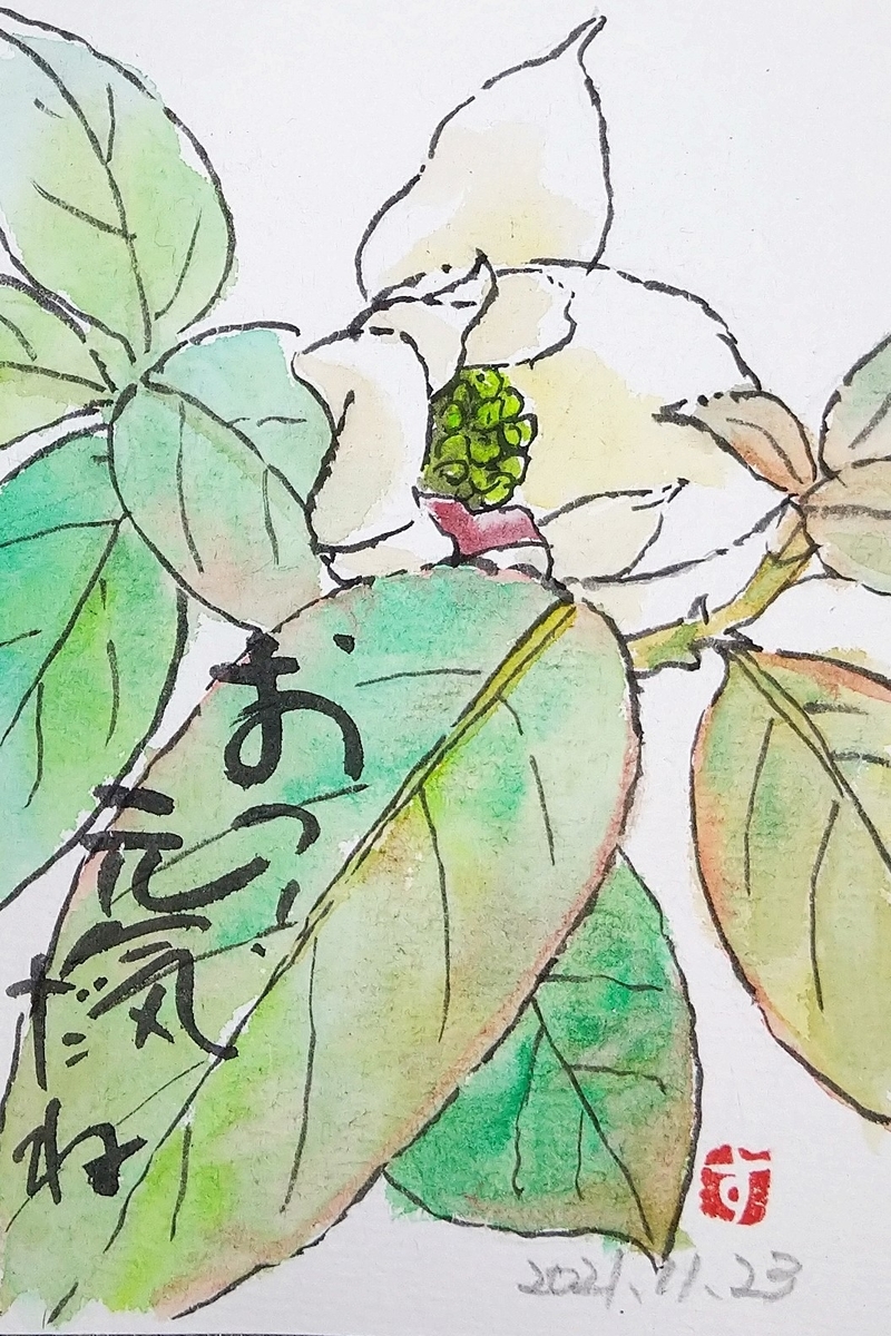 f:id:yakichimususu:20211123183134j:plain