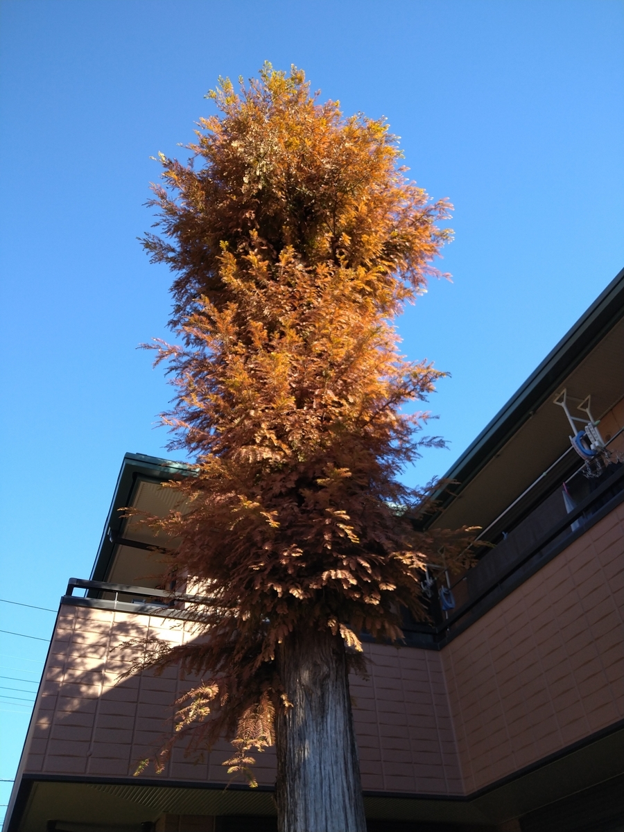 f:id:yakichimususu:20211126203353j:plain