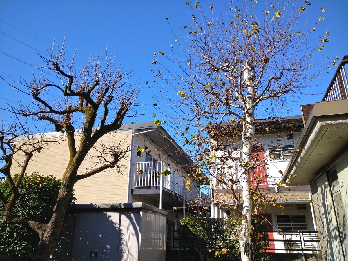 f:id:yakichimususu:20211126204228j:plain