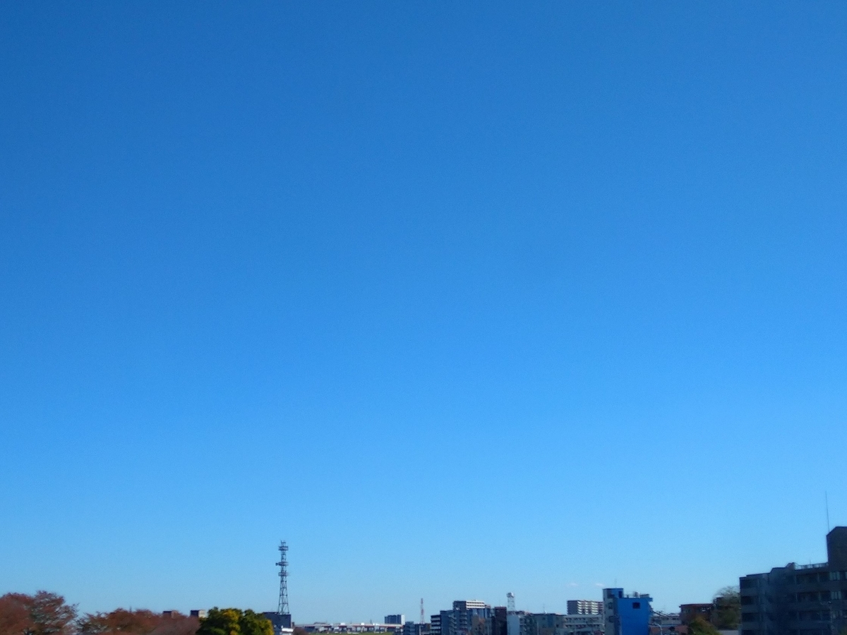 f:id:yakichimususu:20211126204727j:plain