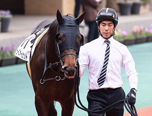 焼魚定食の表示価格には消費税が含まれています。 来週15日の新潟・芝2400mで2戦目を迎えることになりました。鞍上は西村淳Jを予定。☆ヒーズオールザット