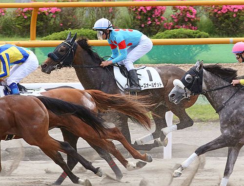 焼魚定食の表示価格には消費税が含まれています。 14日に今度は札幌競馬場へ移動しています。☆ヒーズオールザット
