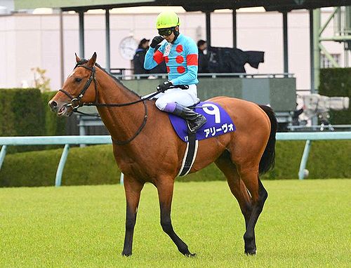 上山競馬　ラスト·メモリアル　武豊騎手 上山競馬 ラスト·メモリアル 武豊騎手 - メルカリ