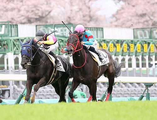27日に函館競馬場へ入場 次走ではダートも視野に進めていくことに アンダープロット 焼魚定食の表示価格には消費税が含まれています 27日に函館競馬場へ入場 次走ではダートも視野に進めていくことに アンダープロット 焼魚定食の表示価格には消費税が含まれています