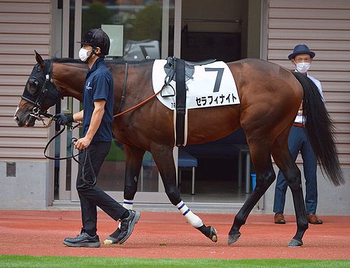 焼魚定食の表示価格には消費税が含まれています。  次走の鞍上がＴ.バシュロＪに決まりました。☆セラフィナイト