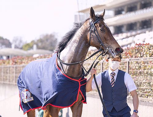 カーペンタリア